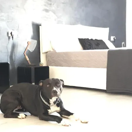 Le Stanze Al Centro 3*